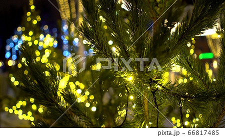 Green natural Christmas tree with shiny garland on background of blurry lights of Christmas market and ice rink 66817485