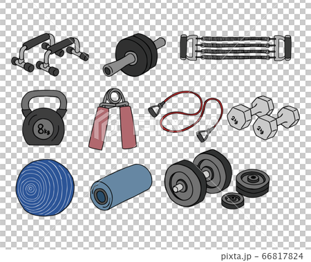 Muscle Treasures 66817824