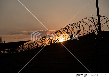 Silhouette of barbed wire fence with twilight sky. Barbed wire of restricted 66819327