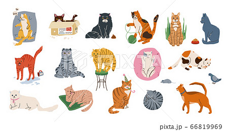 Cat pets vector illustration set. Cute kittens with different emotion sleeping, playing, stretching, hiding in box, washing itself. Funny kitties isolated on white background in simple flat style Cat pets vector illustration set. Cute kittens with different emotion sleeping, playing, stretching, hiding in box, washing itself. Funny kitties isolated on white background in simple flat style 66819969
