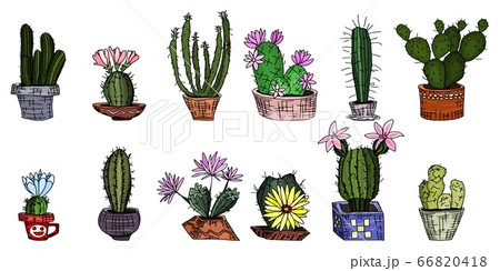 bright cacti in pots. greenhouse plants. doodle bright cacti in pots. greenhouse plants. doodle 66820418