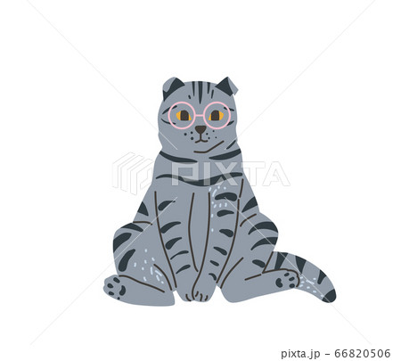 Tabby british grey cat with glasses sitting in funny pose. Vector illustration in simple cartoon flat style. Isolated on white background Tabby british grey cat with glasses sitting in funny pose. Vector illustration in simple cartoon flat style. Isolated on white background 66820506