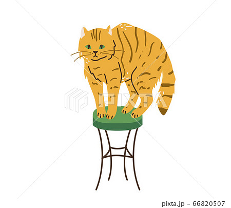 Bright orange tabby cat with green eyes standing on chair. Cats like to climb higher. Vector illustration in simple cartoon flat style. Isolated on white background Bright orange tabby cat with green eyes standing on chair. Cats like to climb higher. Vector illustration in simple cartoon flat style. Isolated on white background 66820507
