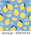 Tropical seamless pattern with yellow lemons. Summer print with citrus, lemons slices, fresh fruits and flowers in hand drawn style. Colorful vector background. 66820524