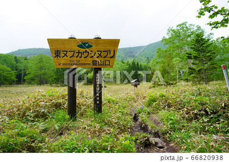 登山道 66820938
