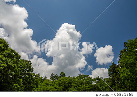 夏雲 沸き立つ入道雲 の写真素材