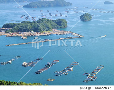 養殖いけす群　食料高騰　ぶり　カンパチ　鯛　鷹巣　長島町　鹿児島県　正面は天草方面 66822037