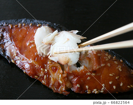 さかな 魚介 焼魚 さかな 魚介 焼魚 66822564