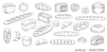 Bread and bakery sketches, engraved pastry 66822890