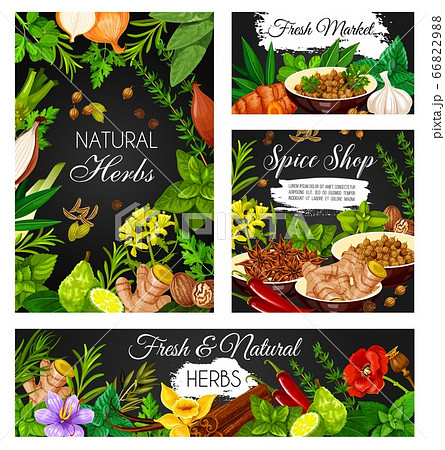 Spices, seasonings and aromatic herbs banners 66822988