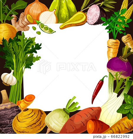 Vegetable salad recipe vector card 66822992