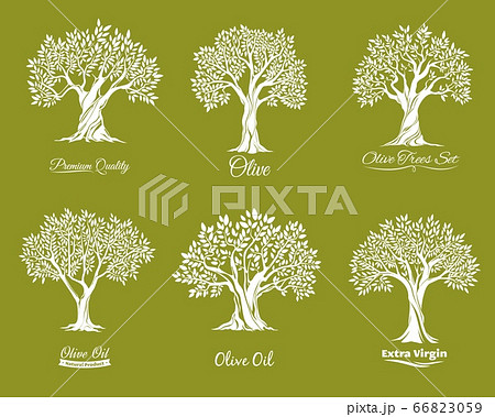 Olive trees farm vector icons set 66823059