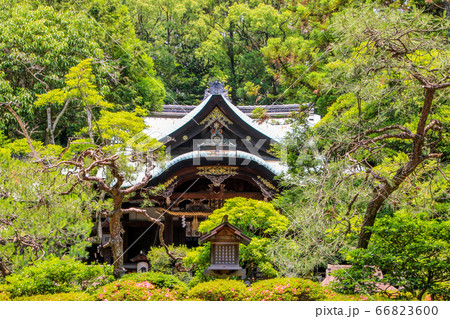 岡崎神社 岡崎神社 66823600