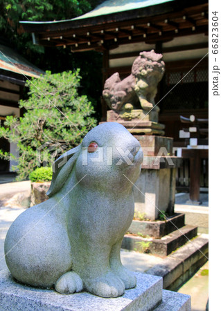 岡崎神社 66823604