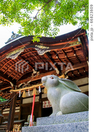 岡崎神社 岡崎神社 66823609