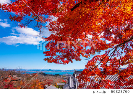 西教寺の紅葉 66823760