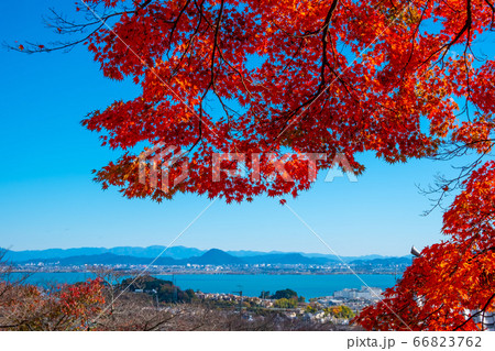 西教寺の紅葉 西教寺の紅葉 66823762