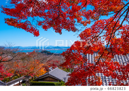 西教寺の紅葉 西教寺の紅葉 66823823