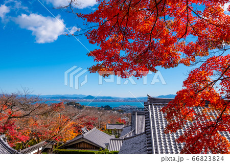 西教寺の紅葉 西教寺の紅葉 66823824