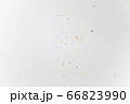 花びら_舞う 66823990