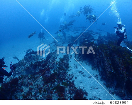 伊戸ダイビング 66823994