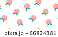 手描き　桃　果物　シームレスパターン　フルーツ　水彩 66824381