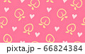 手描き　桃　果物　シームレスパターン　フルーツ 66824384