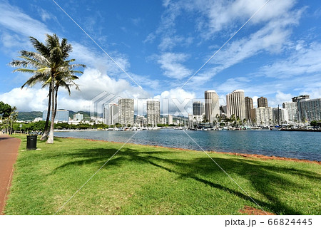 ハワイの休日 66824445