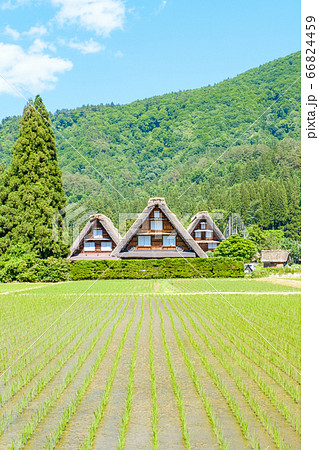 初夏の白川郷(昼) 初夏の白川郷(昼) 66824459