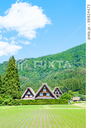 初夏の白川郷(昼) 初夏の白川郷(昼) 66824473