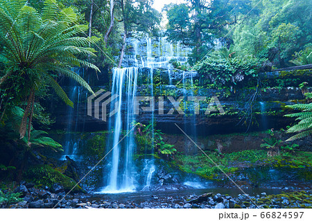 タスマニアのラッセル・フォールズ 66824597