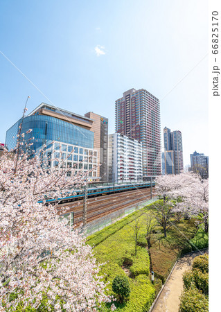 埼玉県川口市　春の川口駅前西口周辺 66825170