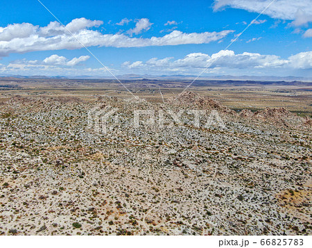 Aerial view of Joshua Tree National Park. USA Aerial view of Joshua Tree National Park. USA 66825783