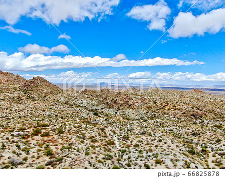 Aerial view of Joshua Tree National Park. USA 66825878