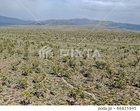 Aerial view of Joshua Tree National Park. American desert national park in southeastern California. Aerial view of Joshua Tree National Park. American desert national park in southeastern California. 66825945