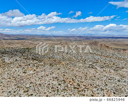 Aerial view of Joshua Tree National Park. USA Aerial view of Joshua Tree National Park. USA 66825946