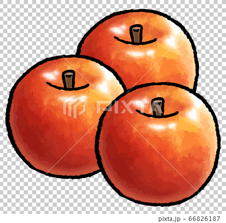 リンゴの手描きベクターイラスト 3個 のイラスト素材