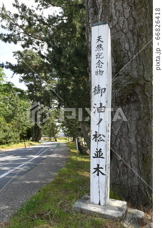 御油の松並木 66826418