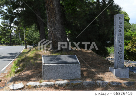 御油の松並木 66826419