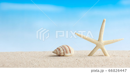 Closeup starfish and seashell on white sand beach with blurred blue sea background Closeup starfish and seashell on white sand beach with blurred blue sea background 66826447