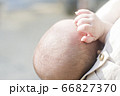 赤ちゃんの手 66827370