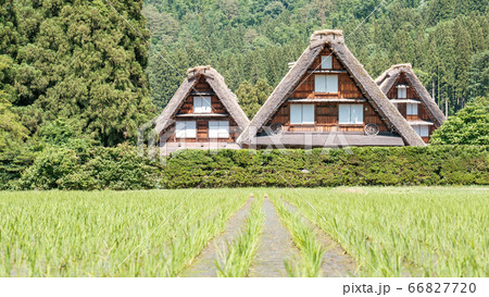初夏の白川郷(昼) 初夏の白川郷(昼) 66827720