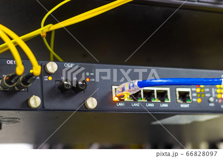 blue cable network connection to a port of a switch in Server Room 66828097