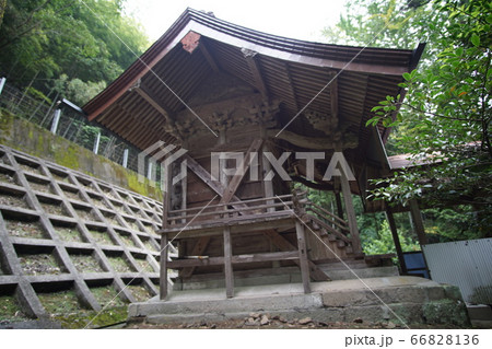 宇佐市(院内町) 西椎屋大銀杏 宇佐市(院内町) 西椎屋大銀杏 66828136