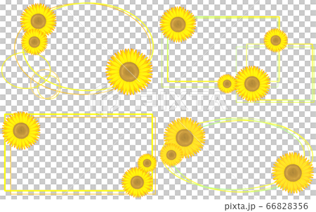 横向き向日葵フレーム4種（黄色） 66828356