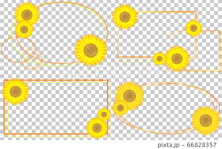 横向き向日葵フレーム4種(橙色) 横向き向日葵フレーム4種(橙色) 66828357