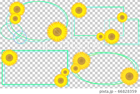 臥式向日葵框架4種（綠松石） 66828359