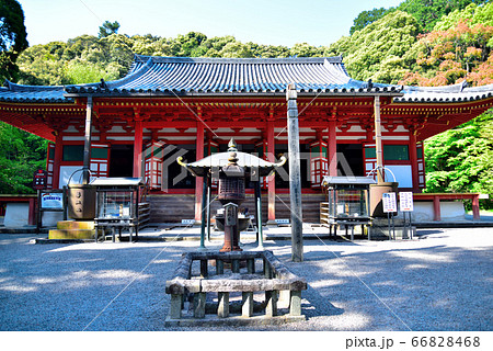 観心寺の金堂 観心寺の金堂 66828468