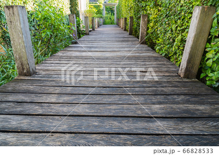 Wooden pathway Wooden pathway 66828533