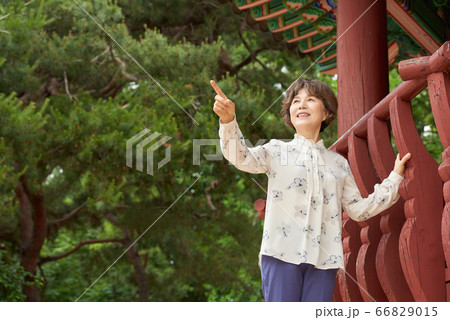 女性 女 女の子 66829015